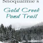 New to snowshoeing? Or just need a fun day-trip getaway? Try snowshoeing the Gold Creek Pond Trail east of Snoqualmie Pass in Washington State. With easy access just off I-90 at Exit 54, you can start snowshoeing through the tall evergreen trees on the edge of the Mount Baker-Snoqualmie National Forest just minutes after parking your car. #hiking #nature #mountains #adventure #travel #traveltips #experiencewa #snowshoeing #pacificnorthwest #wastate #nationalparks #ustravel