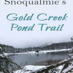 New to snowshoeing? Or just need a fun day-trip getaway? Try snowshoeing the Gold Creek Pond Trail east of Snoqualmie Pass in Washington State. With easy access just off I-90 at Exit 54, you can start snowshoeing through the tall evergreen trees on the edge of the Mount Baker-Snoqualmie National Forest just minutes after parking your car. #hiking #nature #mountains #adventure #travel #traveltips #experiencewa #snowshoeing #pacificnorthwest #wastate #nationalparks #ustravel