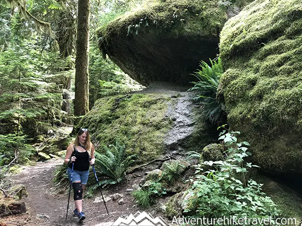 4 months after having my ACL knee surgery I started being able to hike the full 2-mile-long Staircase Rapids Trail in Olympic National Park which has 574 feet of elevation gain. I did this 2-mile loop several times during months 4 and 5 and was able to drastically improve my hiking time each time I went. The first time I completed the loop I was walking at turtle speed and It took a lot of work and was definitely in some pain after my hike. Each time that I went my hiking speed increased.
