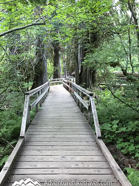 To Start Hiking After Knee Surgery Begin With Simple Hikes I started out walking with my crutches on some paved trails overlooking a river that was at a local state park just 15 days after my ACL surgery. I kept walking each day and continued finding easy flat trails with little to no elevation and kept increasing how long I could walk. Some trails were boardwalks, some were flat dirt paths through the forest and others were maintained flat gravel trails along rivers.