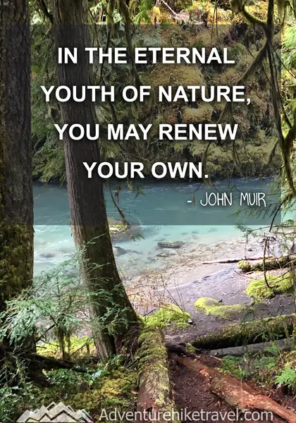 “In the eternal youth of Nature, you may renew your own.” - John Muir