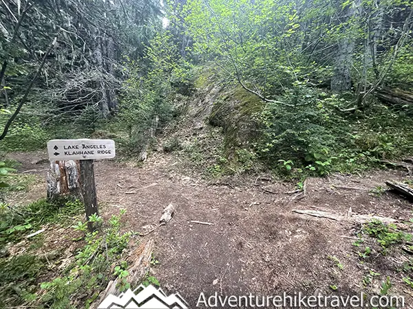 Dive into the ultimate backpacking adventure at Lake Angeles in Olympic National Park! 🏞️ From conquering the trails, to soaking in nature's beauty, this guide has it all. Discover your wild side and get ready for an amazing experience! 🎒🌄 #LakeAngelesBackpacking