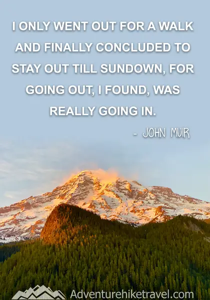 “I only went out for a walk and finally concluded to stay out till sundown, for going out, I found, was really going in.” - John Muir