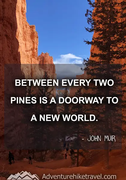 “Between every two pines is a doorway to a new world.” - John Muir
