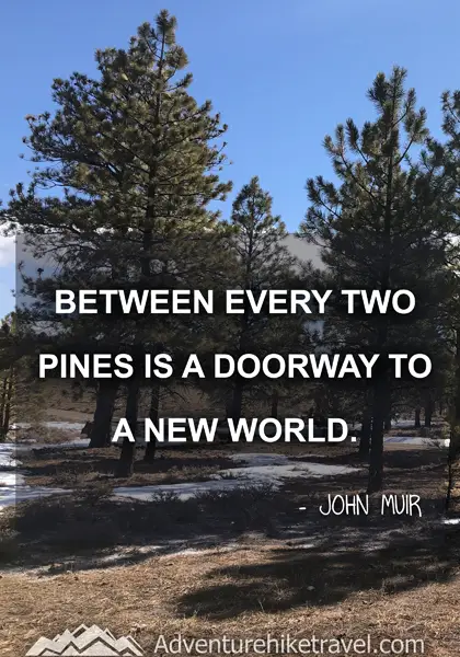 “Between every two pines is a doorway to a new world.” - John Muir