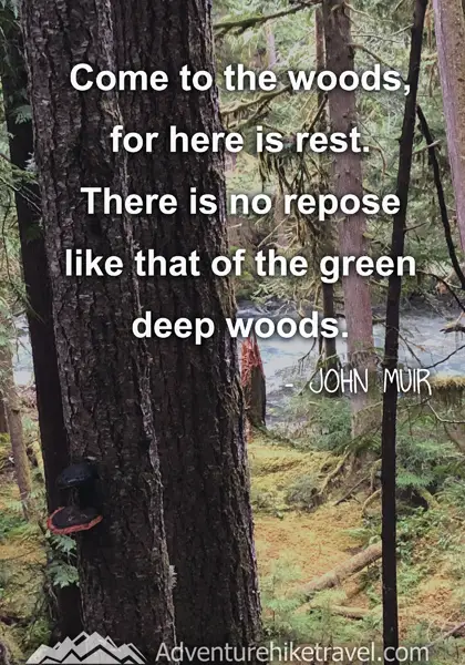 “Come to the woods, for here is rest. There is no repose like that of the green deep woods.” - John Muir