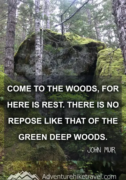 “Come to the woods, for here is rest. There is no repose like that of the green deep woods.” - John Muir