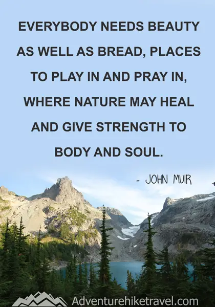 “Everybody needs beauty as well as bread, places to play in and pray in, where nature may heal and give strength to body and soul.” - John Muir