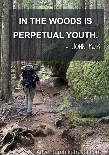 “In the woods is perpetual youth.” - John Muir