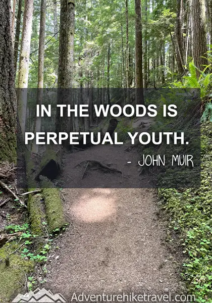 “In the woods is perpetual youth.” - John Muir