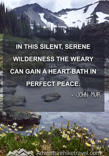 “In this silent, serene wilderness the weary can gain a heart-bath in perfect peace.” - John Muir