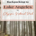 😍 Explore the hidden gem of Olympic National Park: Lake Angeles! This captivating hiking destination offers tranquility and natural beauty, with breathtaking panoramic views from imposing rocky cliffs. Surrounded by crystal-clear blue-green waters, lush greenery, and abundant wildlife, it's a true hiker's paradise. 🎒 Join us for a comprehensive guide on hiking and backpacking to this enchanting location. #LakeAngeles #HikingAdventures