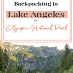 Discover the captivating beauty of Lake Angeles in Olympic National Park. Tranquil and stunning, this hidden gem offers a peaceful hiking experience with panoramic mountain views. Crystal-clear waters, lush surroundings, and abundant wildlife make it a hiker's paradise. Join us for a comprehensive guide to hiking and backpacking to this enchanting destination in Olympic National Park.