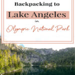 😍 Explore the hidden gem of Olympic National Park: Lake Angeles! This captivating hiking destination offers tranquility and natural beauty, with breathtaking panoramic views from imposing rocky cliffs. Surrounded by crystal-clear blue-green waters, lush greenery, and abundant wildlife, it's a true hiker's paradise. 🎒 Join us for a comprehensive guide on hiking and backpacking to this enchanting location. #LakeAngeles #HikingAdventures