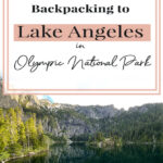 😍 Explore the hidden gem of Olympic National Park: Lake Angeles! This captivating hiking destination offers tranquility and natural beauty, with breathtaking panoramic views from imposing rocky cliffs. Surrounded by crystal-clear blue-green waters, lush greenery, and abundant wildlife, it's a true hiker's paradise. 🎒 Join us for a comprehensive guide on hiking and backpacking to this enchanting location. #LakeAngeles #HikingAdventures