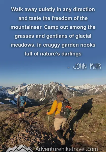 “Walk away quietly in any direction and taste the freedom of the mountaineer. Camp out among the grasses and gentians of glacial meadows, in craggy garden nooks full of nature’s darlings.” - John Muir