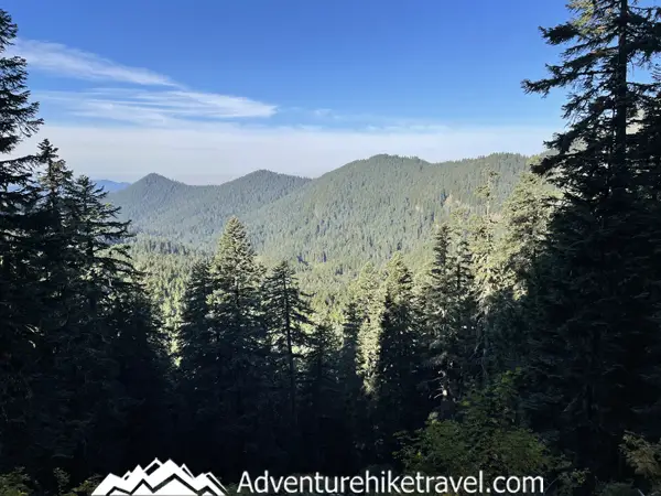 Looking for your next epic hiking adventure? 🌄 Gear up and explore the Tolmie Peak Fire Tower Trail in Mount Rainier National Park! 🌲 Fall in love with panoramic views, lush forests, and an unforgettable journey to the top! 🥾 #HikingAdventure #MountRainier