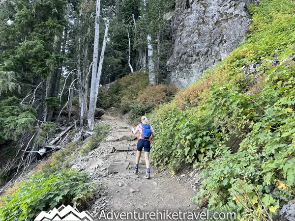 Looking for your next epic hiking adventure? 🌄 Gear up and explore the Tolmie Peak Fire Tower Trail in Mount Rainier National Park! 🌲 Fall in love with panoramic views, lush forests, and an unforgettable journey to the top! 🥾 #HikingAdventure #MountRainier