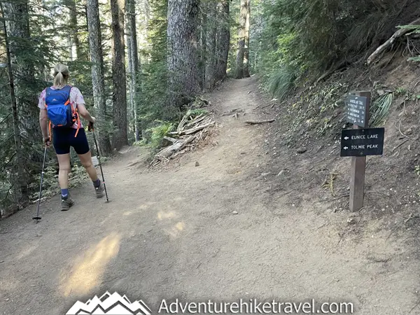 Explore the beauty of Mount Rainier National Park! Discover the hidden gem, Tolmie Peak Fire Tower, offering panoramic views. This challenging hike rewards you with lush forests, wildflower meadows, and rocky terrain. #MountRainier #TolmiePeak #Hiking