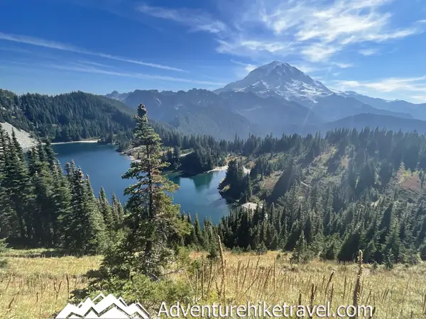 Looking for your next epic hiking adventure? 🌄 Gear up and explore the Tolmie Peak Fire Tower Trail in Mount Rainier National Park! 🌲 Fall in love with panoramic views, lush forests, and an unforgettable journey to the top! 🥾 #HikingAdventure #MountRainier