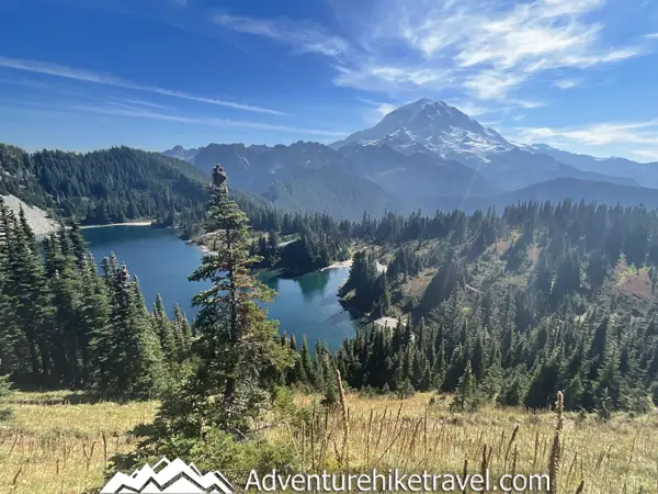 Looking for your next epic hiking adventure? 🌄 Gear up and explore the Tolmie Peak Fire Tower Trail in Mount Rainier National Park! 🌲 Fall in love with panoramic views, lush forests, and an unforgettable journey to the top! 🥾 #HikingAdventure #MountRainier