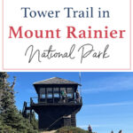 Immerse yourself in the world of pristine wilderness, captivating vistas, and one-of-a-kind adventure as you embark on the Tolmie Peak Fire Tower Trail hike in Mount Rainier National Park. Led by our experienced guide, this unforgettable journey will leave you with memories to cherish for a lifetime. Don't miss this opportunity to explore the hidden gem of Mount Rainier!