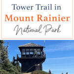 Looking for your next epic hiking adventure? 🌄 Gear up and explore the Tolmie Peak Fire Tower Trail in Mount Rainier National Park! 🌲 Fall in love with panoramic views, lush forests, and an unforgettable journey to the top! 🥾 #HikingAdventure #MountRainier