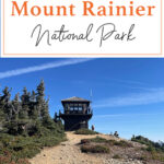 Looking for your next epic hiking adventure? 🌄 Gear up and explore the Tolmie Peak Fire Tower Trail in Mount Rainier National Park! 🌲 Fall in love with panoramic views, lush forests, and an unforgettable journey to the top! 🥾 #HikingAdventure #MountRainier