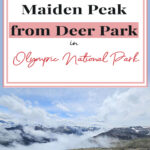 Discover serenity at Maiden Peak! Our latest blog reveals the captivating hike from Deer Park. Immerse in 360-degree vistas, vibrant wildflowers, and diverse wildlife. Your next unforgettable escape awaits. 🏞️🥾 #NatureEscape #MaidenPeakHike #OlympicNP