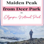 Discover serenity at Maiden Peak! Our latest blog reveals the captivating hike from Deer Park. Immerse in 360-degree vistas, vibrant wildflowers, and diverse wildlife. Your next unforgettable escape awaits. 🏞️🥾 #NatureEscape #MaidenPeakHike #OlympicNP