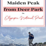 🏞️👟 "7.2-Mile Round-Trip Hike from Deer Park to Maiden Peak🌲🗻: Exciting 2100ft Elevation Climb!" 🏞️ Strap on your hiking boots 👟 for an exhilarating 7.2-mile round-trip hike from Deer Park to Maiden Peak in the breathtaking Olympic National Park🌲. Expect your heart to race with a challenging 2,100ft elevation gain! 🗻 Incredible views and an unforgettable adventure awaits! Let's conquer that peak! 💪🌄