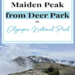 Discover the breathtaking hike from Deer Park to Maiden Peak in Olympic National Park. Traverse 7.2 miles round-trip along the Obstruction Point Trail, embracing stunning vistas, colorful wildflowers, and diverse wildlife. A must-explore adventure for nature enthusiasts and hikers alike. 🏞️🥾 #OlympicNationalPark #HikingAdventure #MaidenPeakTrail"