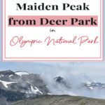 Discover the breathtaking hike from Deer Park to Maiden Peak in Olympic National Park. Traverse 7.2 miles round-trip along the Obstruction Point Trail, embracing stunning vistas, colorful wildflowers, and diverse wildlife. A must-explore adventure for nature enthusiasts and hikers alike. 🏞️🥾 #OlympicNationalPark #HikingAdventure #MaidenPeakTrail"