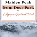 Discover Olympic National Park's hidden gem: the Deer Park to Maiden Peak hike. Spanning 7.2 miles round-trip via the Obstruction Point Trail, it boasts a 2,100-ft elevation gain. Revel in 360-degree mountain panoramas, vibrant wildflowers, and abundant wildlife. An enchanting hike that's quickly become a personal favorite.