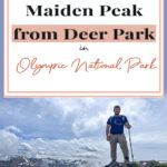 🚶‍♀️⛰️ Hiking 7.2-miles to Maiden Peak from Deer Park, Olympic National Park 🌲👣 Ready to lace up those hiking boots and hit the trail?🥾🎒 Make your way from Deer Park to Maiden Peak on a 7.2-mile trek through Olympic National Park. 🌲⛰️ Expect to break a bit of a sweat with a 2,100 feet elevation climb, but the stunning vistas make this moderately challenging hike totally worth it! 🚶‍♀️👣🏞️. Tag your hiking buddies and let's take on Maiden Peak together! 🎉