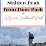 🚶‍♀️⛰️ Hiking 7.2-miles to Maiden Peak from Deer Park, Olympic National Park 🌲👣 Ready to lace up those hiking boots and hit the trail?🥾🎒 Make your way from Deer Park to Maiden Peak on a 7.2-mile trek through Olympic National Park. 🌲⛰️ Expect to break a bit of a sweat with a 2,100 feet elevation climb, but the stunning vistas make this moderately challenging hike totally worth it! 🚶‍♀️👣🏞️. Tag your hiking buddies and let's take on Maiden Peak together! 🎉