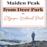 🚶‍♀️⛰️ Hiking 7.2-miles to Maiden Peak from Deer Park, Olympic National Park 🌲👣 Ready to lace up those hiking boots and hit the trail?🥾🎒 Make your way from Deer Park to Maiden Peak on a 7.2-mile trek through Olympic National Park. 🌲⛰️ Expect to break a bit of a sweat with a 2,100 feet elevation climb, but the stunning vistas make this moderately challenging hike totally worth it! 🚶‍♀️👣🏞️. Tag your hiking buddies and let's take on Maiden Peak together! 🎉