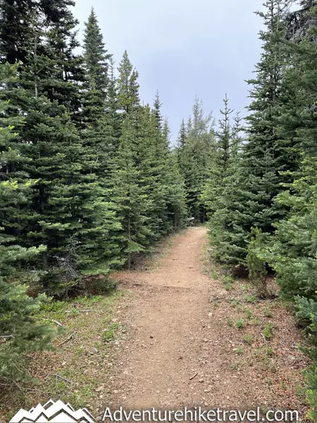 🏞️👟 "7.2-Mile Round-Trip Hike from Deer Park to Maiden Peak🌲🗻: Exciting 2100ft Elevation Climb!" 🏞️ Strap on your hiking boots 👟 for an exhilarating 7.2-mile round-trip hike from Deer Park to Maiden Peak in the breathtaking Olympic National Park🌲. Expect your heart to race with a challenging 2,100ft elevation gain! 🗻 Incredible views and an unforgettable adventure awaits! Let's conquer that peak! 💪🌄