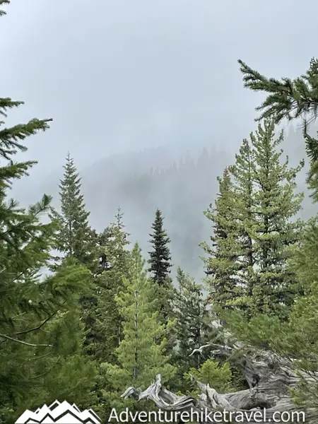 🏞️👟 "7.2-Mile Round-Trip Hike from Deer Park to Maiden Peak🌲🗻: Exciting 2100ft Elevation Climb!" 🏞️ Strap on your hiking boots 👟 for an exhilarating 7.2-mile round-trip hike from Deer Park to Maiden Peak in the breathtaking Olympic National Park🌲. Expect your heart to race with a challenging 2,100ft elevation gain! 🗻 Incredible views and an unforgettable adventure awaits! Let's conquer that peak! 💪🌄