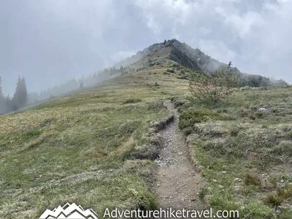 🏞️👟 "7.2-Mile Round-Trip Hike from Deer Park to Maiden Peak🌲🗻: Exciting 2100ft Elevation Climb!" 🏞️ Strap on your hiking boots 👟 for an exhilarating 7.2-mile round-trip hike from Deer Park to Maiden Peak in the breathtaking Olympic National Park🌲. Expect your heart to race with a challenging 2,100ft elevation gain! 🗻 Incredible views and an unforgettable adventure awaits! Let's conquer that peak! 💪🌄