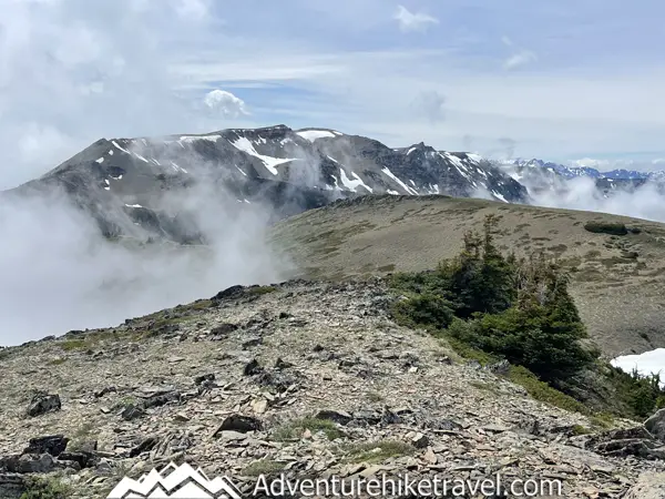 🚶‍♀️⛰️ Hiking 7.2-miles to Maiden Peak from Deer Park, Olympic National Park 🌲👣 Ready to lace up those hiking boots and hit the trail?🥾🎒 Make your way from Deer Park to Maiden Peak on a 7.2-mile trek through Olympic National Park. 🌲⛰️ Expect to break a bit of a sweat with a 2,100 feet elevation climb, but the stunning vistas make this moderately challenging hike totally worth it! 🚶‍♀️👣🏞️. Tag your hiking buddies and let's take on Maiden Peak together! 🎉