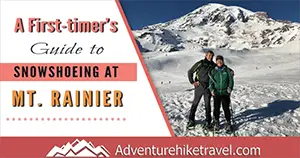 Snowshoeing At Mt Rainier Tips