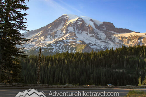 Mount Rainier in One Day: Best Hikes and Scenic Stops for a Day Trip ...