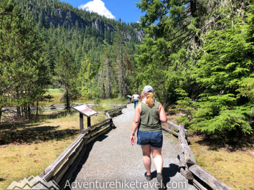Mount Rainier in One Day: Best Hikes and Scenic Stops for a Day Trip ...