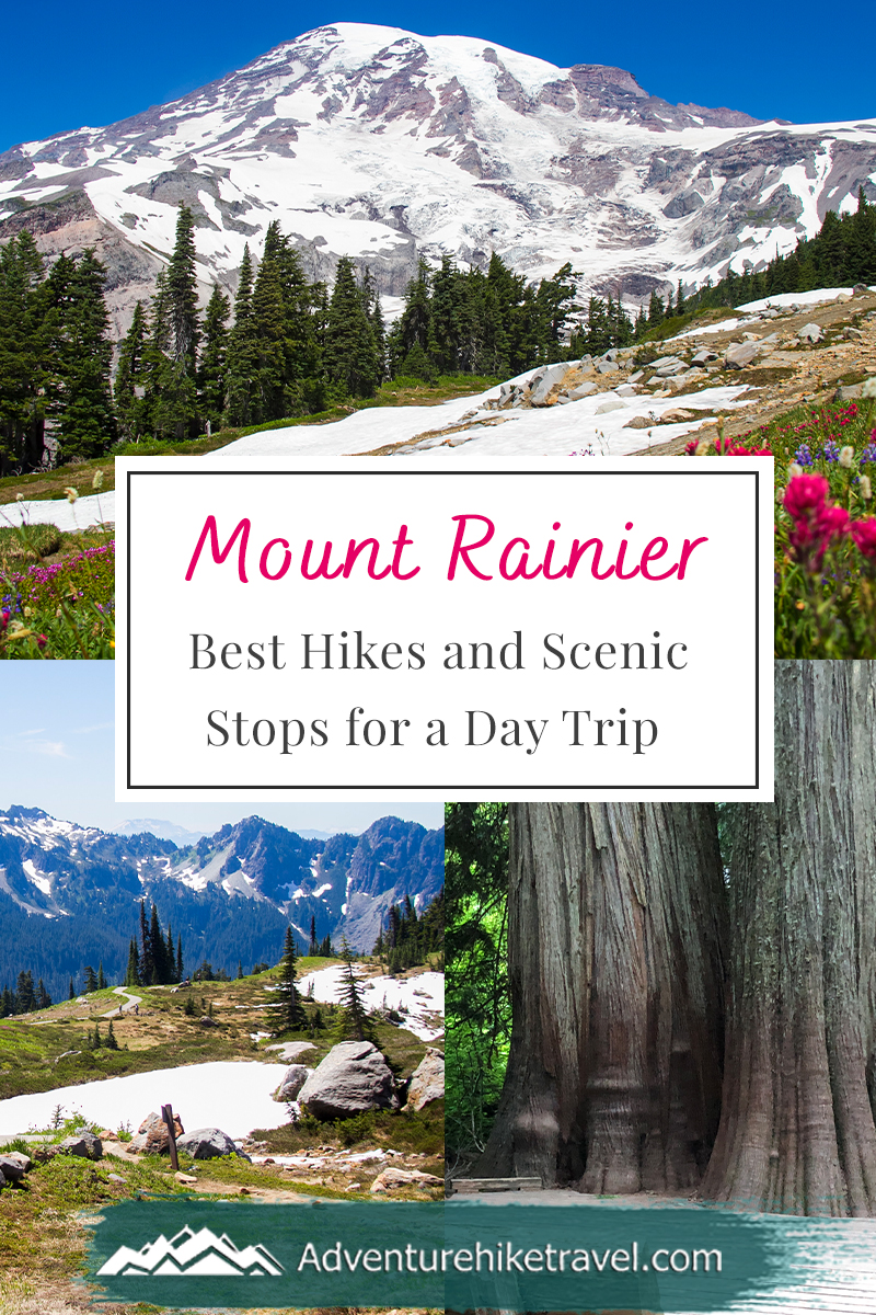 Mount Rainier in One Day: Best Hikes and Scenic Stops for a Day Trip ...