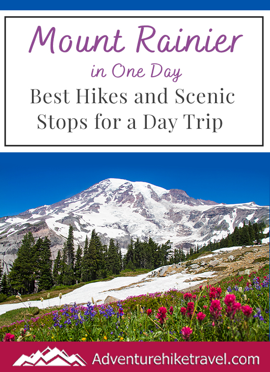 Mount Rainier in One Day: Best Hikes and Scenic Stops for a Day Trip ...