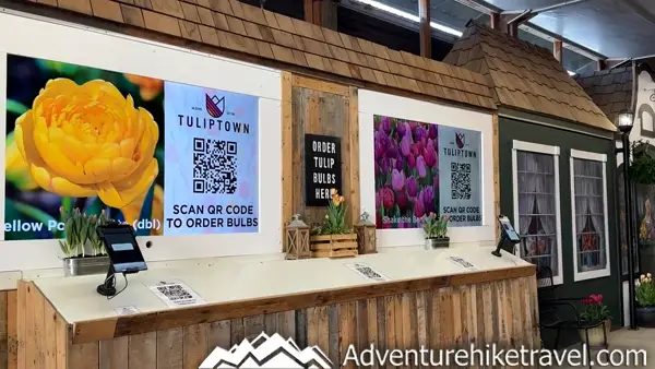 Why Tulip Town Is a Must-See Stop During the Skagit Valley Tulip Festival Looking for the best tulip field in Washington? 🌷 Tulip Town offers vibrant blooms, food trucks, and amazing views during the Skagit Valley Tulip Festival. Don’t miss this magical spring destination! #TulipTown #SkagitTulips #PNWTravel #SpringFlowers