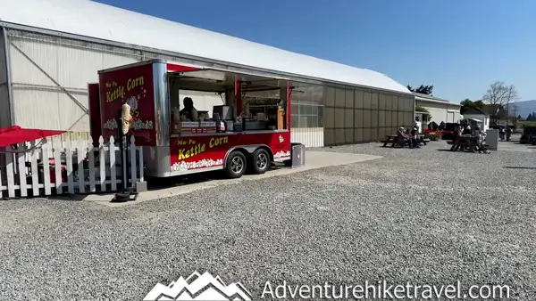 Why Tulip Town Is a Must-See Stop During the Skagit Valley Tulip Festival Looking for the best tulip field in Washington? 🌷 Tulip Town offers vibrant blooms, food trucks, and amazing views during the Skagit Valley Tulip Festival. Don’t miss this magical spring destination! #TulipTown #SkagitTulips #PNWTravel #SpringFlowers