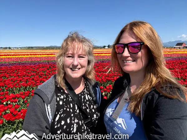 Why Tulip Town Is a Must-See Stop During the Skagit Valley Tulip Festival Planning a trip to the Skagit Valley Tulip Festival? Don’t miss Tulip Town! This colorful farm features 6+ acres of tulips, photo ops, food trucks & mountain views. A must-see spring destination in Washington State!