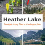 Hike to Heather Lake in Washington for a scenic 4.7-mile trail featuring old-growth forest, waterfalls, wildflowers, and a peaceful alpine lake in the North Cascades.